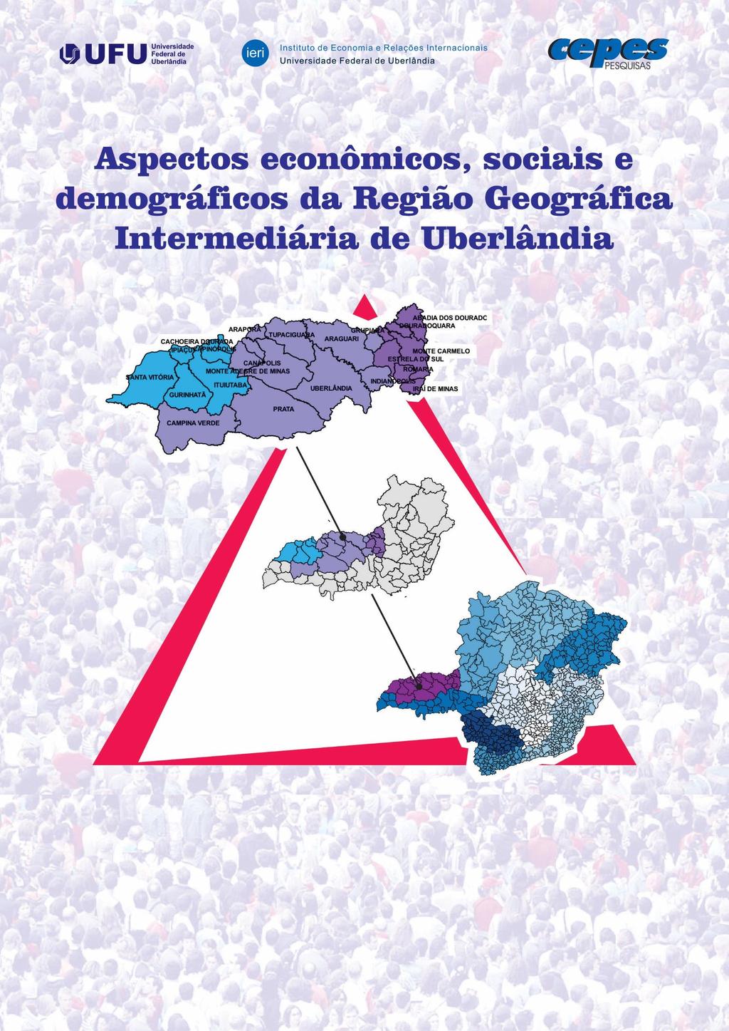 Volume 4 Região Geográfica Intermediária de Uberlândia: Domicílios,
