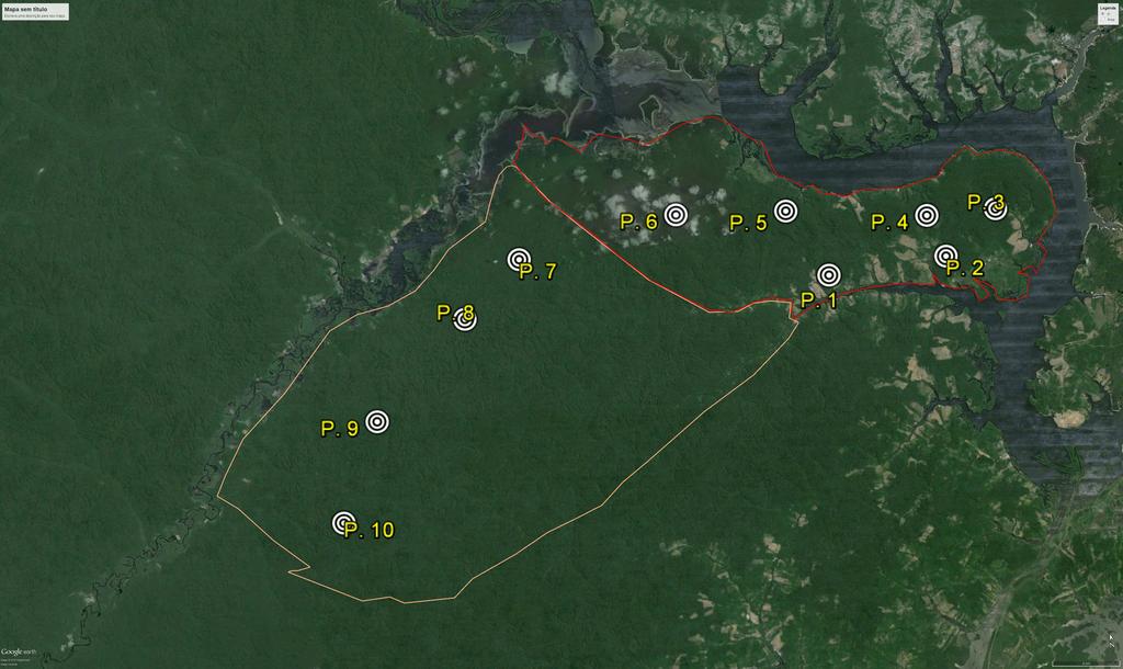 FIGURA 1. Distribuição das unidades amostrais (P.1 P.10), nas Áreas I (contorno em vermelho) e Área II (contorno em amarelo), no município de Nhamundá-AM. Fonte: Base de dados Google Earth.
