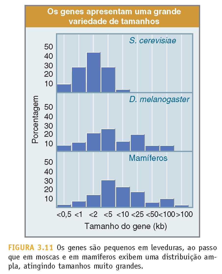 genes é variável!