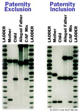 diferente!!!!! Fingerprinting!