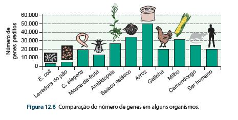 E o número de genes em Eucariontes? Não é tão simples!