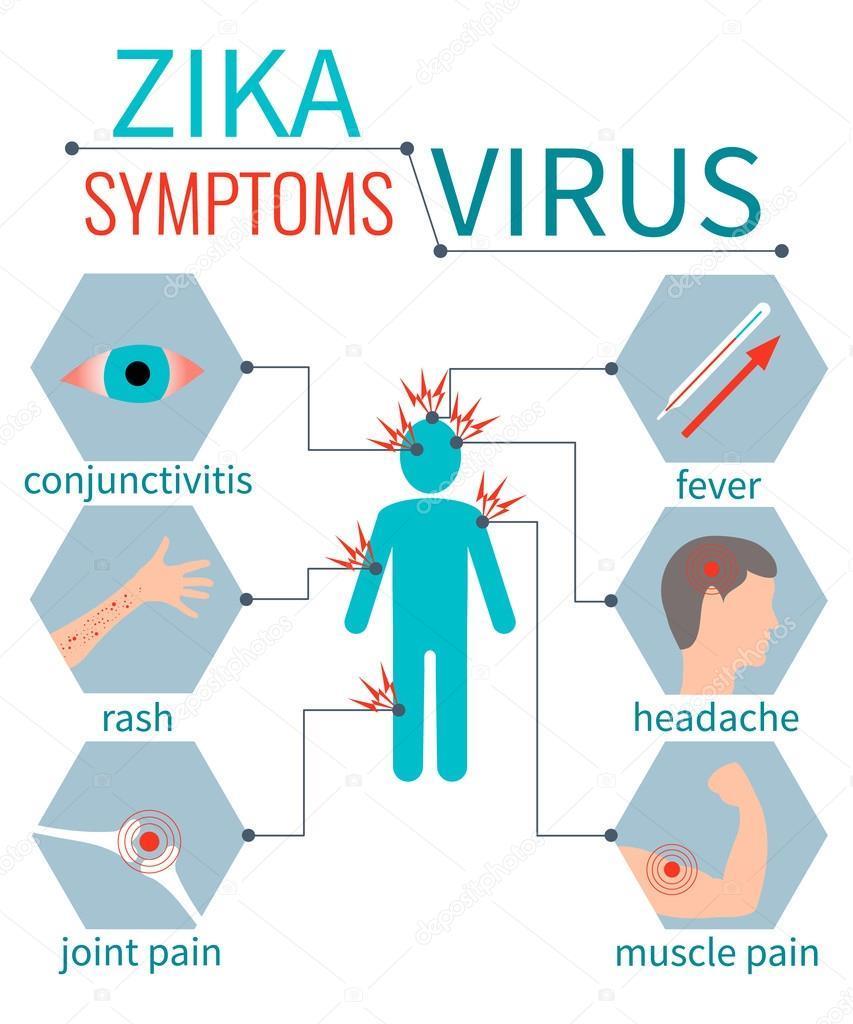 FEBRE ZIKA Agente etiológico: Zika vírus (ZIKV); Vetor: mosquitos Aedes aegypti e A.