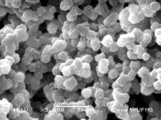 que são imagens dos eletrólitos de PVdF e PVdF/Phema (75%m/m de PVdF).