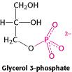 Adenosina Trifosfato A ΔG de hidrólise de