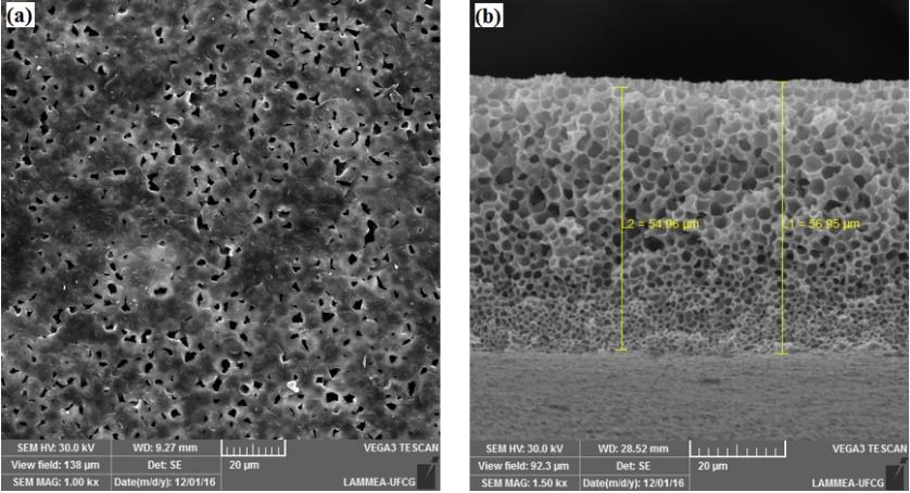 Fotomicrografias obtidas por MEV da superfície de topo da PA6/5% argila/20% KCl (a) superfície e (b) seção transversal.