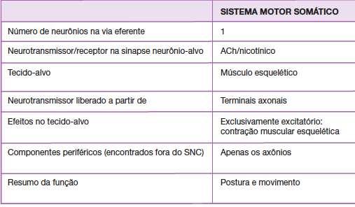 SISTEMA