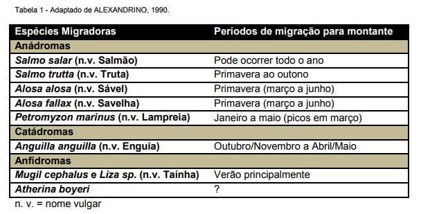 Pré seleção de obstáculos a eliminar e a permeabilizar em