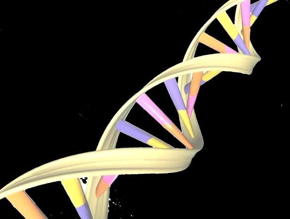 Biologia Genômica 2º Semestre, 2017 Recombinação Homóloga e Sítio-Específica Prof. Marcos Túlio mtoliveria@fcav.unesp.