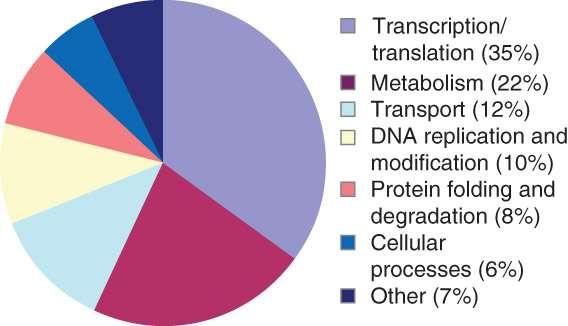 8.8 Morphological Complexity Evolves by Adding New Gene Functions FIGURE