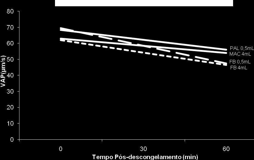 47 Figura 10 Análise de regressão da velocidade média do trajeto (VAP, µm/sec) nos 4 recipientes em função do tempo de pós-descongelamento em minutos (min).