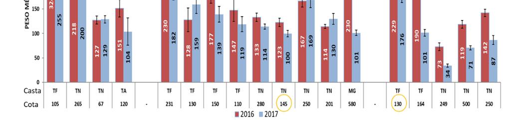 22 - Comparação número médio de bagos por cacho para as castas observadas, entre 2016 e 2017. Nível de significância: p<0.05=*(significa@vo).