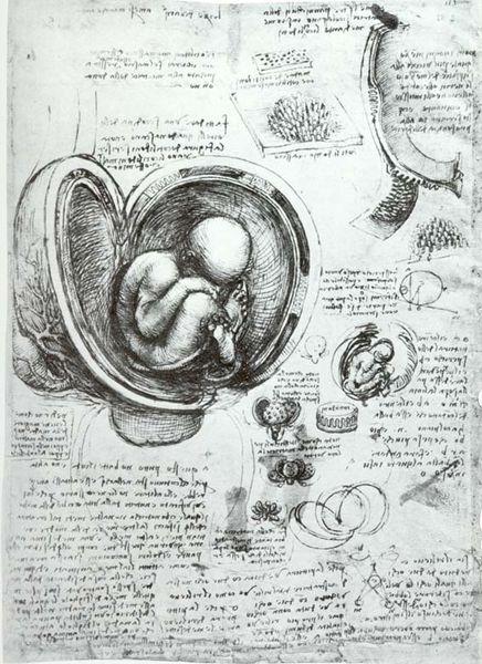 Infografia Científica Leonardo Da Vinci consegue através de seus desenhos criar um acervo muito grande de informações, esse trabalho deu origem ao