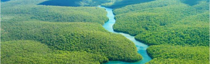 Objetivo: reduzir o desmatamento no Bioma Amazônico; evitar a aquisição de gado