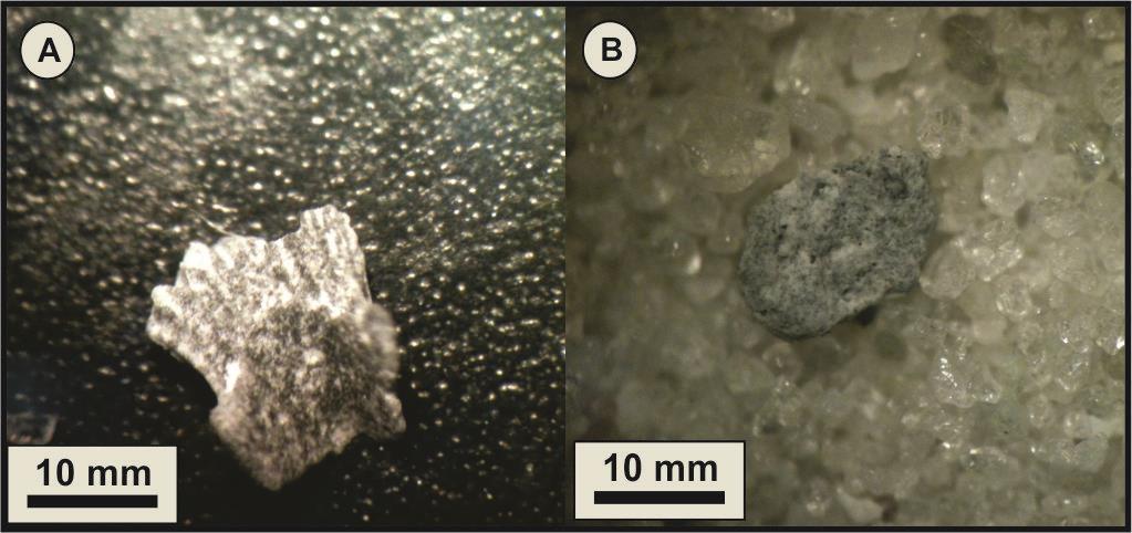 8: Fragmentos de rocha vistos em lupa binocular. A) Fragmento de rocha composto essencialmente de biotita, quartzo e plagioclásio.