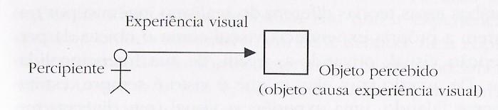 36 Figura 2 Representação gráfica da percepção visual Fonte: Searle, 2002: 81 Para Searle, não faz sentido atribuir à experiência visual as propriedades da coisa a que ela se refere.