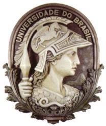 UNIVERSIDADE FEDERAL DO RIO DE JANEIRO FACULDADE DE LETRAS AQUISIÇÃO DAS LÍQUIDAS ALVEOLARES NO