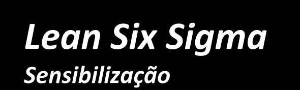 Lean Six Sigma Sensibilização Conhecer as técnicas e métodos que permitem reduzir custos e melhorar a qualidade do produto e satisfação do cliente.