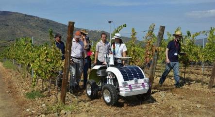 ROBÔ DA VINHA FAZ ENSAIOS NO DOURO Com os desafios sociais, económicos e ambientais, tem sido importante pensar em novas formas de tornar as