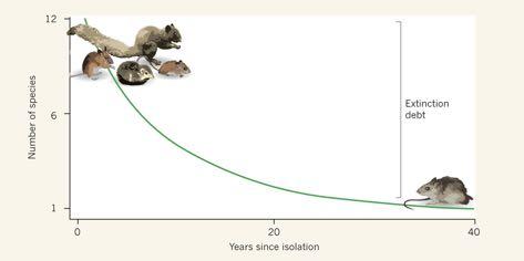 Débito de extinções 1. Crescimento populacional humano 2.