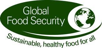 Alimentarius Comission, 2003 Food security Qualidade de Alimento suficiente quantitativa e qualitativamente 2001 (FAO) todas as pessoas, a qualquer momento, têm um acesso físico,