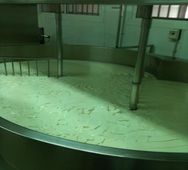 Segurança Microbiológica dos queijos Produção de Queijos Queijo é um produto da coagulação do leite!