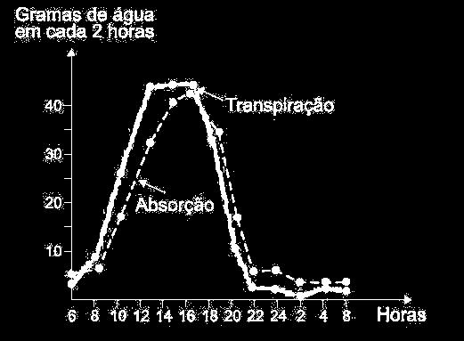 Ocorre acúmulo de seiva elaborada e deficiência