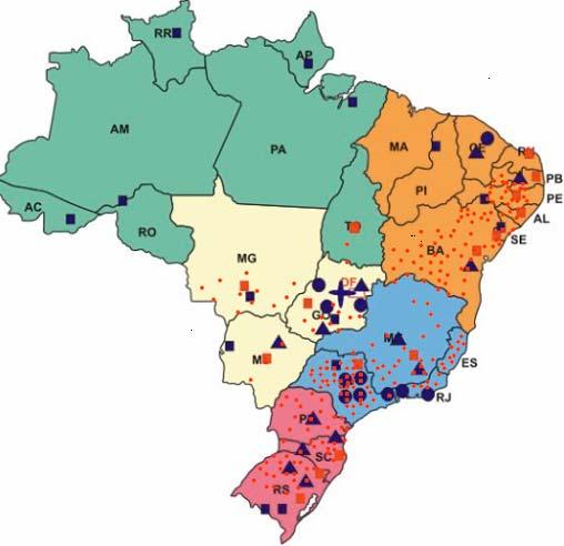 Desafios para a Rede de Inovação Agropecuária Gestão das Competências e Vazios Vazios (N, NE, CENTRO-OESTE) Estados sem Centros da Embrapa MT, ES, AL, TO, MA, RN Institucional Tecnológico