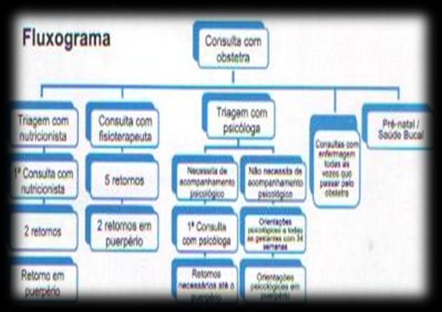 abrangência do AME passaram a ser abordadas pelos participantes do Programa promovendo saúde à gestantes de outros municípios além de Araçatuba.