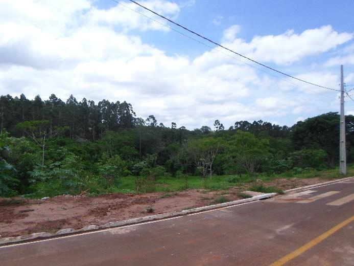 136 Figura 5 e 6: Área verde n.º 8. Foto: GUSMÃO, P. S; 2017.