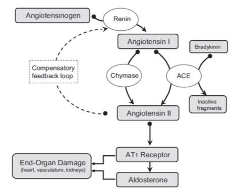 Vasodilatadores Classes Inibidores da ECA Bloqueadores de receptores de angiotensina II Inibidores da Fosfodiesterase Vasodilatadores diretos J. Vet.