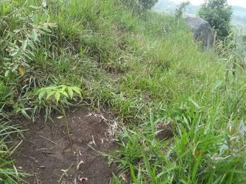 Itajubá Bairro: Pedra Preta 5