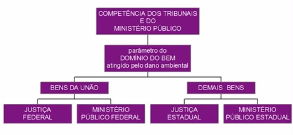 Curso/Disciplina: Direito Ambiental Aula: Direito Ambiental - 10 Professor(a): Luiz Jungstedt Monitor(a): José Alisson Sousa dos Santos Aula 10 COMPETÊNCIA JURISDICIONAL AMBIENTAL Acontece um crime