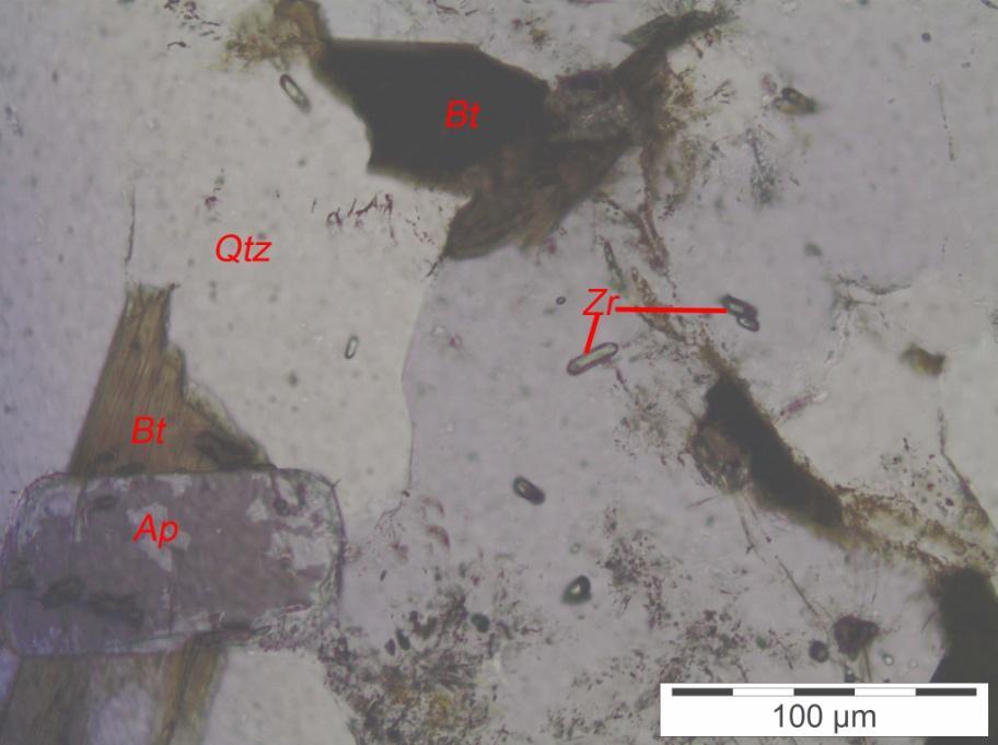 Fotomicrografia 2: GPSB - Cristal tabular de apatita (Ap), manchado, associado a