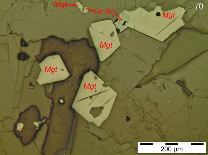 Plagioclásios (Pl), as apatitas ainda se mostram como prismas maiores e cristais arredondados no Pl.