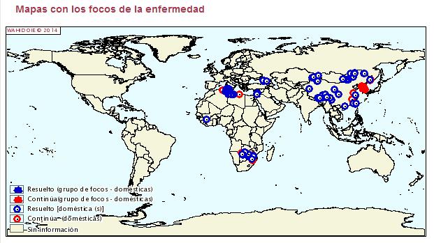 nas Américas, Europa e Oceania