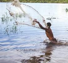 ONDE ATUAMOS RORAIMA AMAPÁ AMAZONAS PARÁ ACRE TOCANTINS RONDÔNIA Atuamos indiretamente com a população de Oriximiná, Faro e Terra Santa, somando 96.344 habitantes.