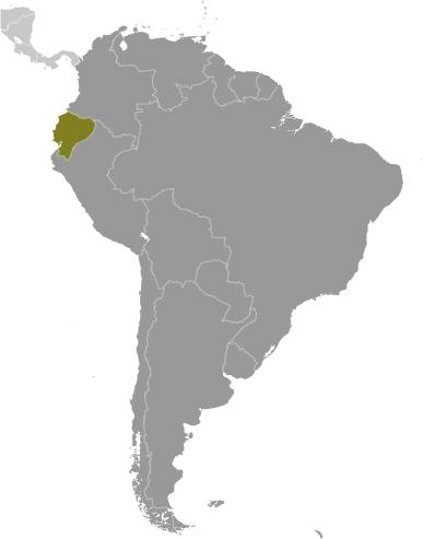 Montanhoso na região dos Andes (Cordilheira). Terrenos planos na região amazónica (oriente). Ponto mais alto: Chimborazo 6.267 m. Clima: Tropical, ao longo da costa e da região amazónica.