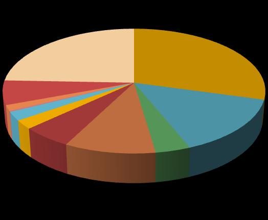 PESO DOS DIFERENTES GRUPOS (%) 23,4 28,1 Têxteis Cerâmica Elementos Vegetais Peles e Couros Madeira e Cortiça 6,0 Metal 14,0 Pedra 5,3