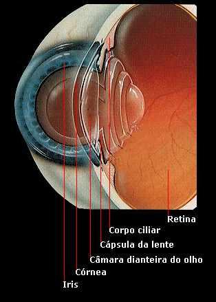 html Retinoscópio Outro instrumento que utiliza