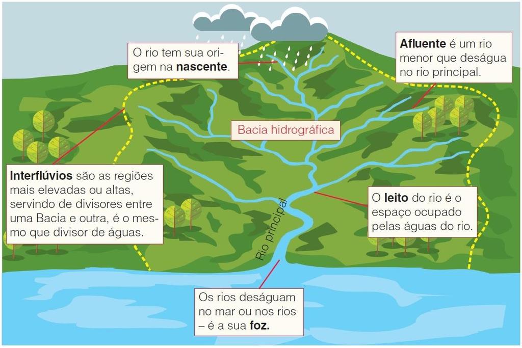 BACIA HIDROGRÁFICA: Pensar integrado é mais