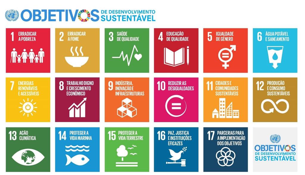 O DESENVOLVIMENTO SUSTENTÁVEL E AS INSTITUIÇÕES DE ENSINO SUPERIOR Introdução à Sustentabilidade