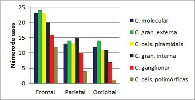 = granular, céls = células. Fig.14. Distribuição de edema no córtex frontal, parietal e occipital em 26 casos de meningoencefalite herpética em bovinos. C = camada, gran. = granular, céls = células.