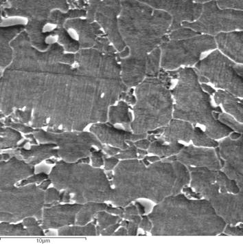 2 µm menor em relação às outras regiões analizadas.