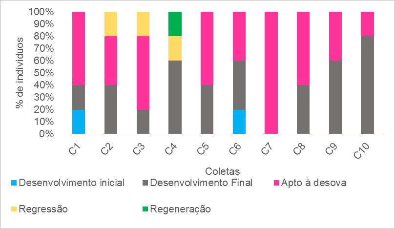 65 Figura 13 - Frequência da porcentagem de indivíduos de D. aequipinnatus por fases reprodutivas em fêmeas ao longo das coletas na temperatura de 30 C.