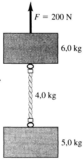 4) Uma ginasta de massa m escala uma corda vertical que está presa ao teto. Ignore o peso da corda. Desenhe um diagrama do corpo livre para a ginasta.