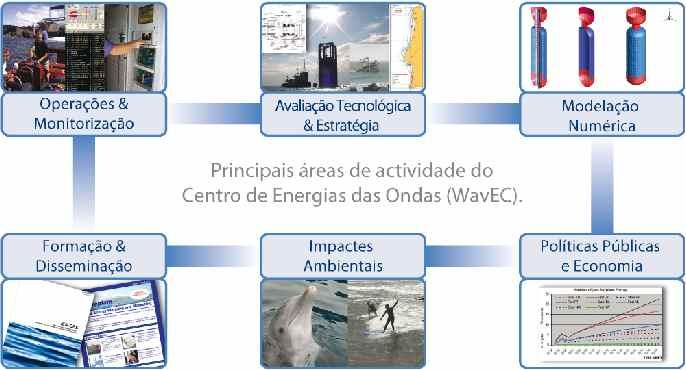 R&D and Services at WavEC Plant operation & monitoring Due Diligences & Strategic An. Experimental & Numerical mod.