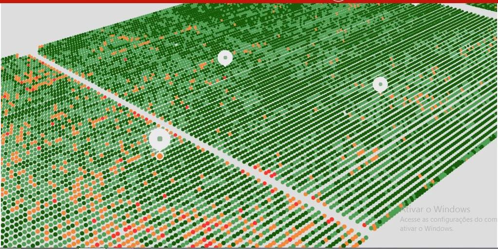 Inteligência artificial promete gestão otimizada no campo e acabar com pragas na citricultura Tecnologia israelense alia imagens de drone com análises da planta e do solo, para