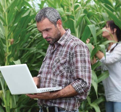 Tendências tecnológicas para o agro Rede de fazendas conectadas Rede