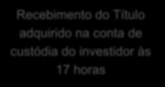 for no site do Tesouro o Agente de Custódia