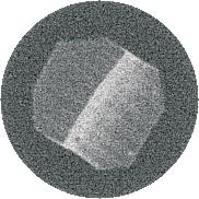 Na tomografia micrométrica, em que a resolução desce a décimos de milímetros, esses detalhes começam a ser observados.